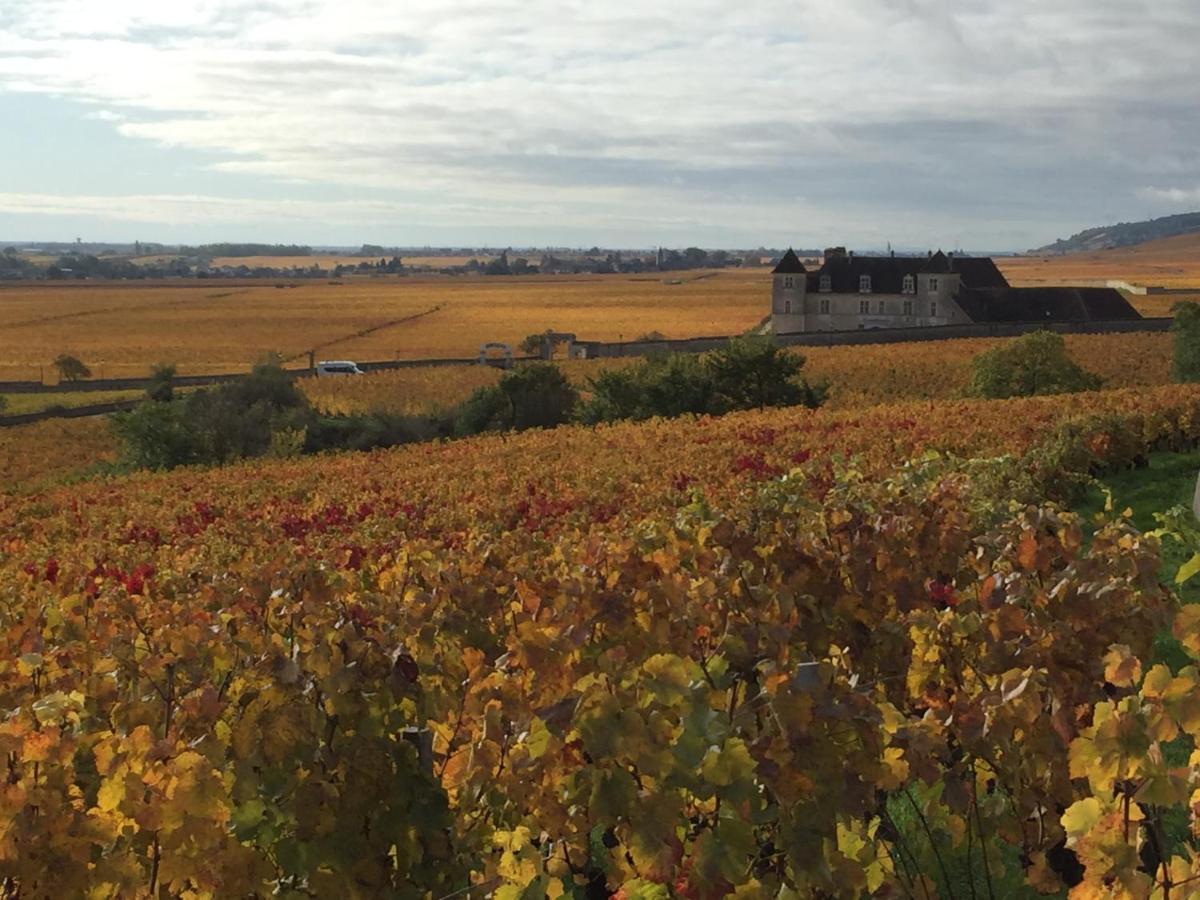 Les Hauts De Fixin, 50M2 Avec Exterieur Sur La Route Des Grands Crus, Dijon Sud Exterior foto
